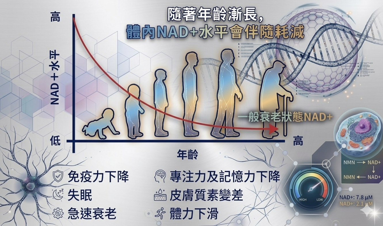 產品明細